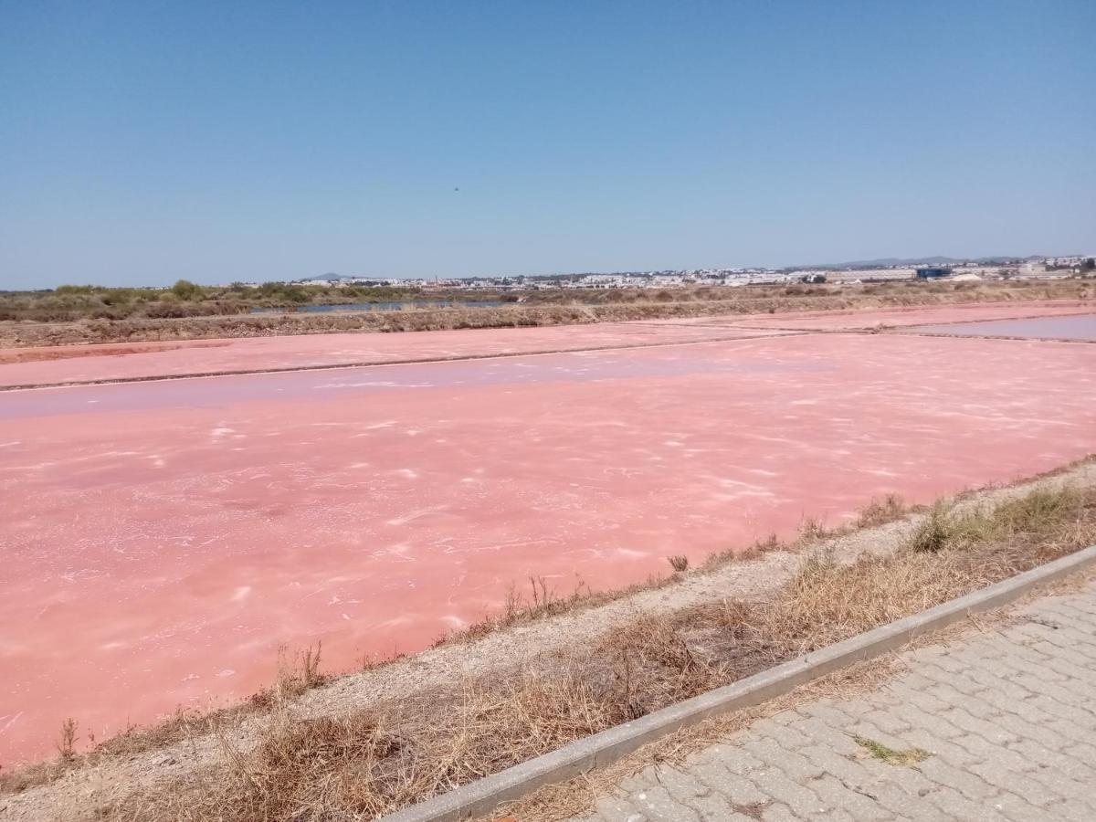 Le Boucanier Ταβίρα Εξωτερικό φωτογραφία