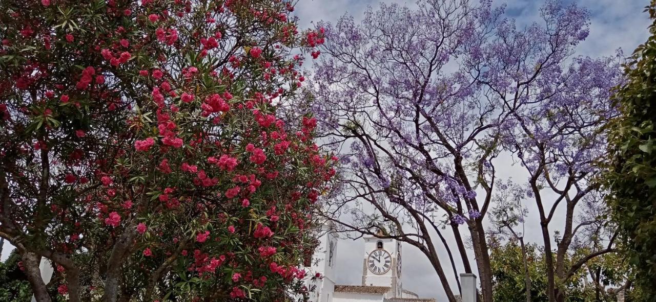 Le Boucanier Ταβίρα Εξωτερικό φωτογραφία