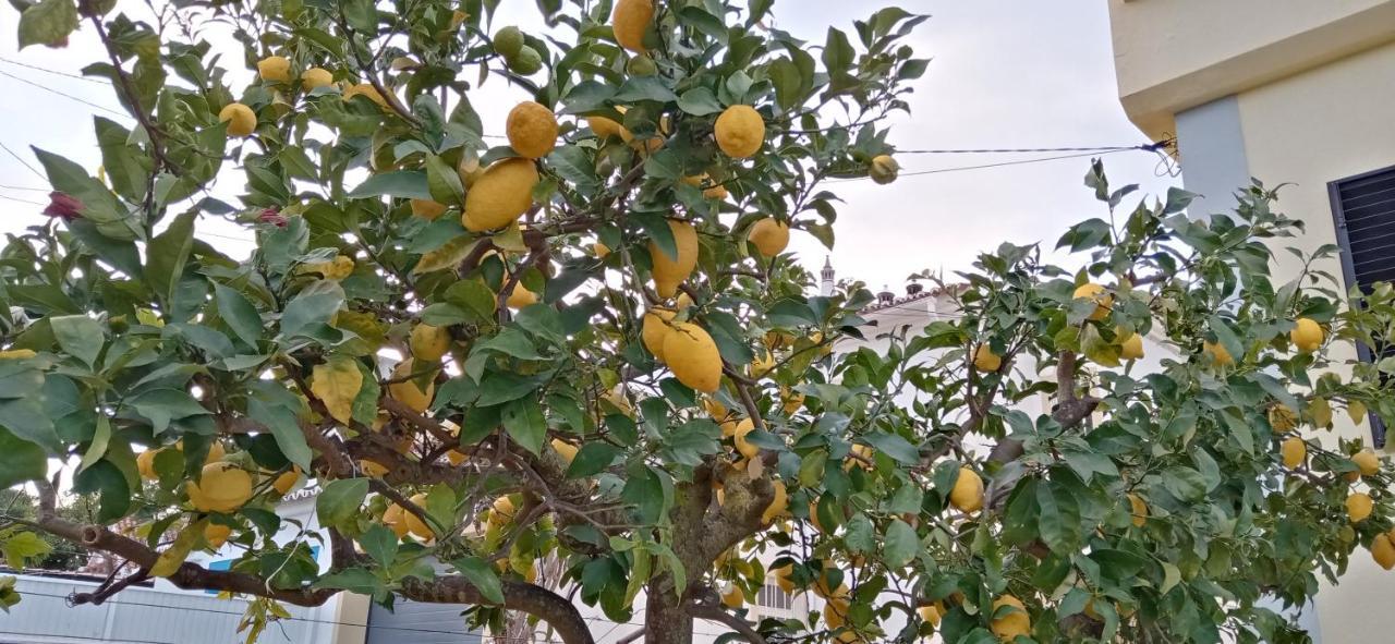 Le Boucanier Ταβίρα Εξωτερικό φωτογραφία